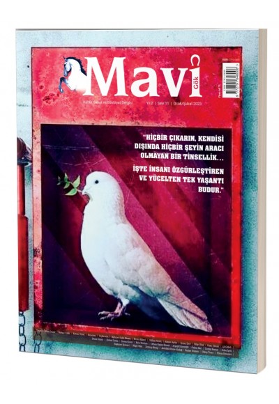 MAVİ GÖK SAYI: 11  KÜLTÜR - SANAT - EDEBİYAT DERGİSİ